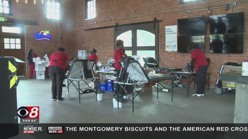 Blood Drive Biscuits