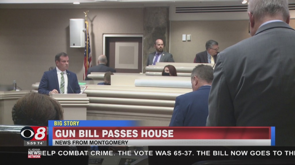Gun Bill Passes House