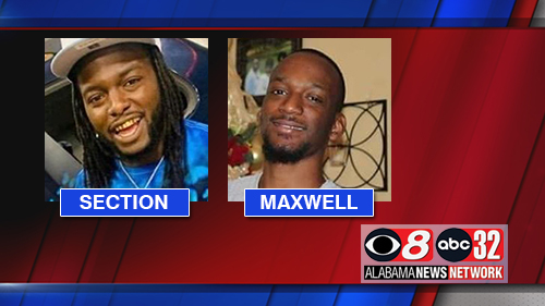 Sectiondevontemaxwellisaih031722