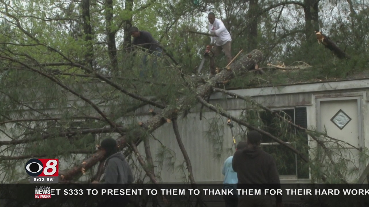 Storm Cleanup to Begin in Elmore County - WAKA 8