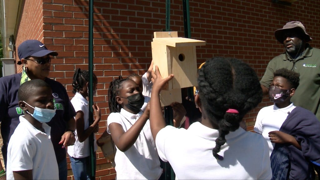 Wal Birdhouses Fox Pkg2