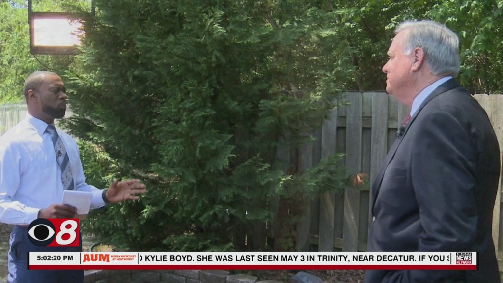 Primary Pre With Steve