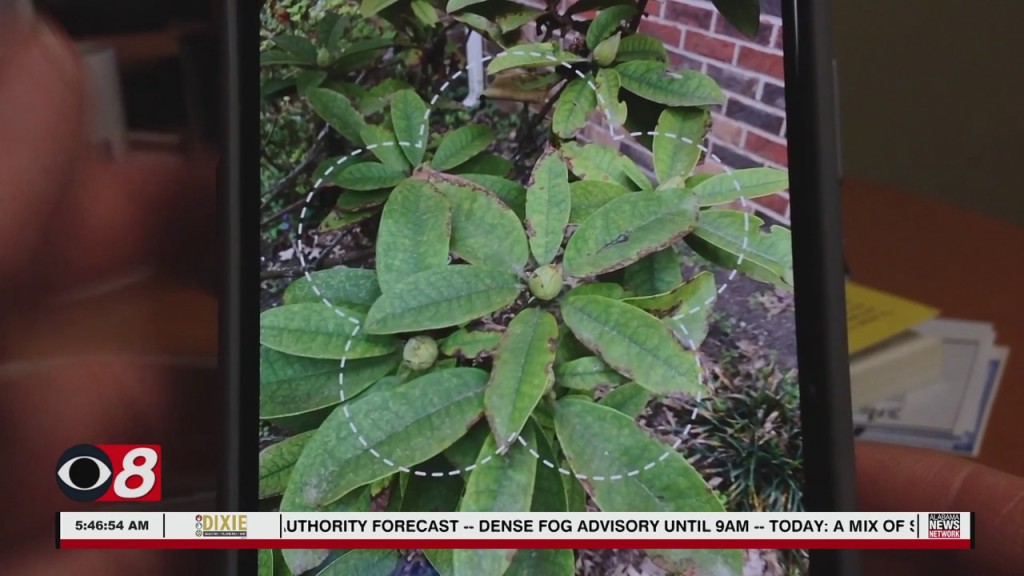 Wtt App Of The Day Picturethis 050222