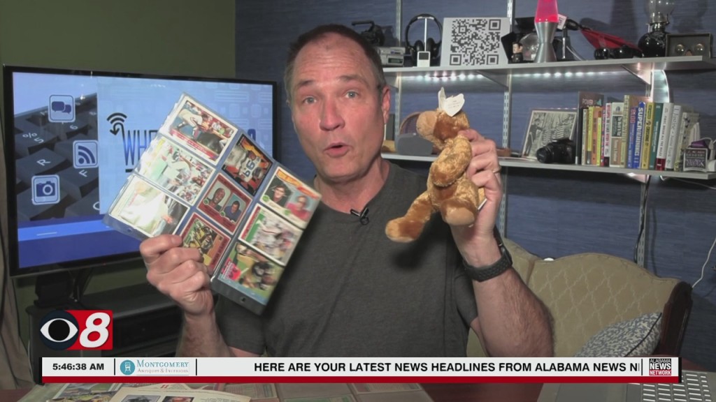 Wtt Collectables 051022