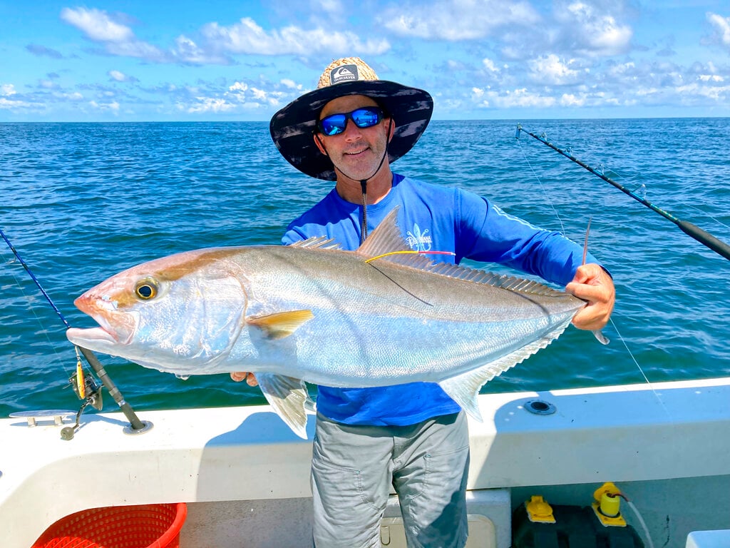 Amberjack Count