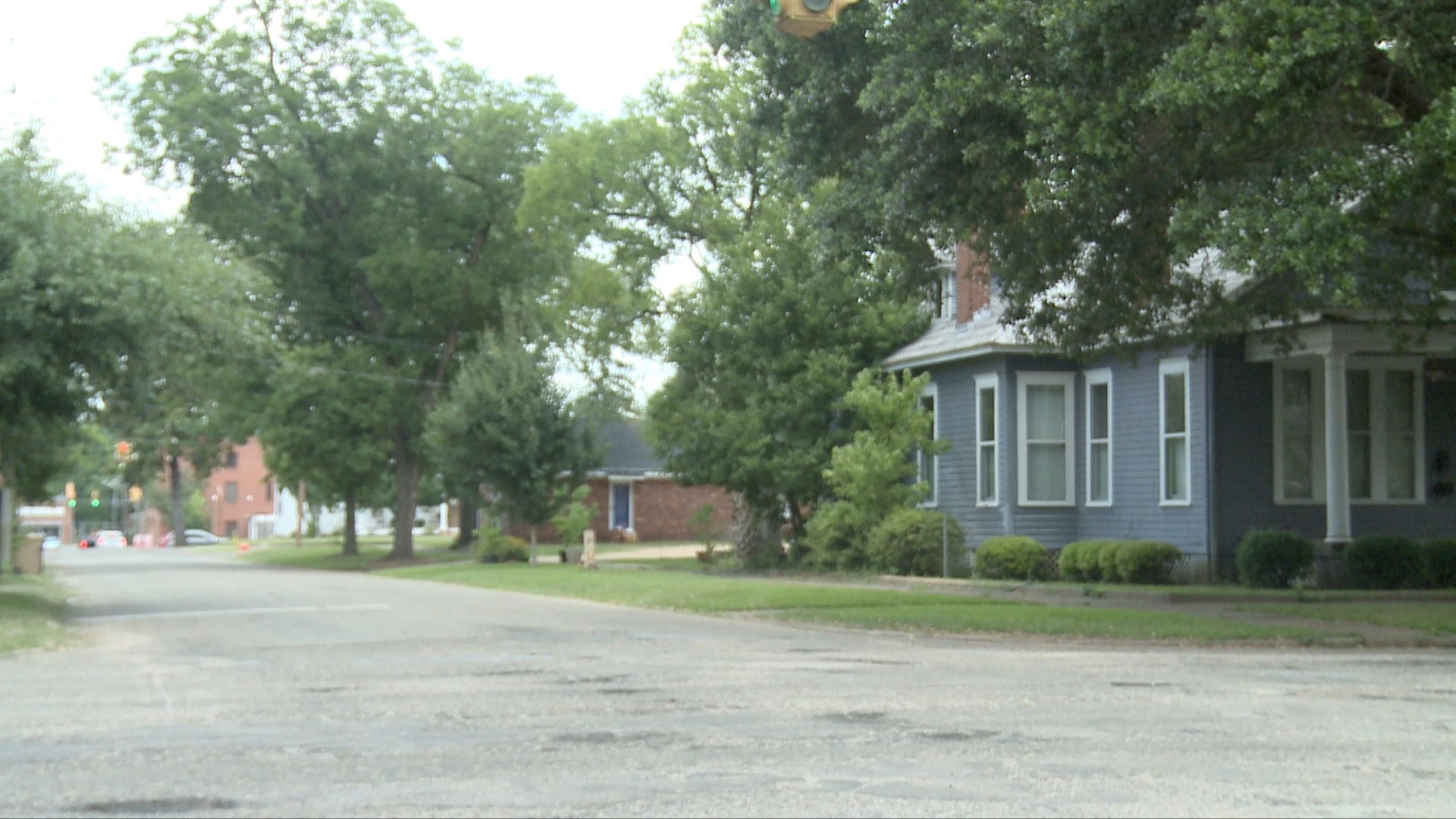 Man Hurt, Dog Killed in Selma Shooting - WAKA 8
