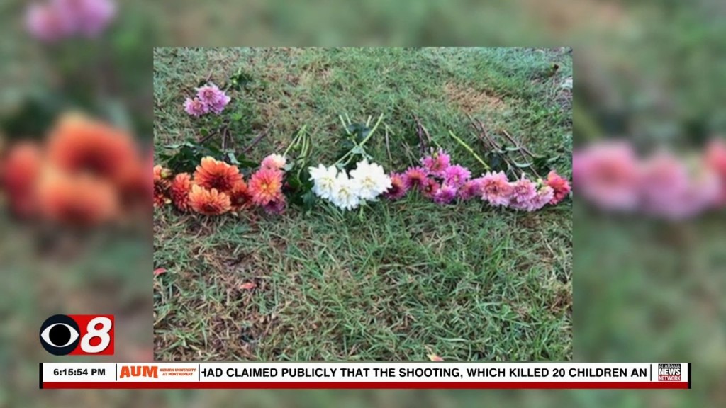 Circle Of Colors 080522