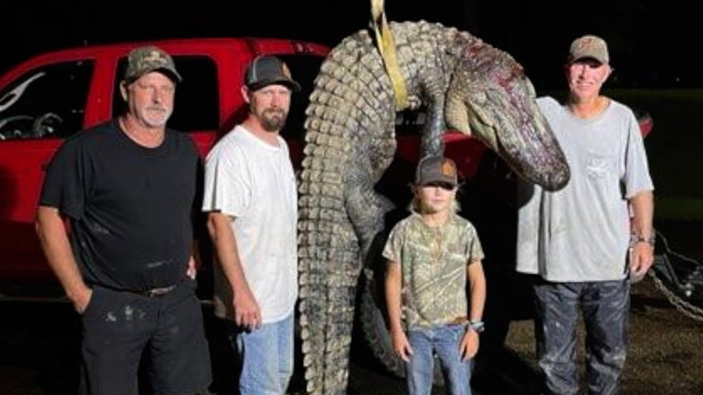 Wal Alligatorseason Pkg