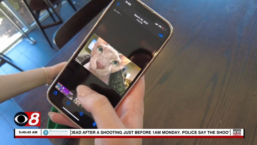 Wtt Airdrop Photos 080922