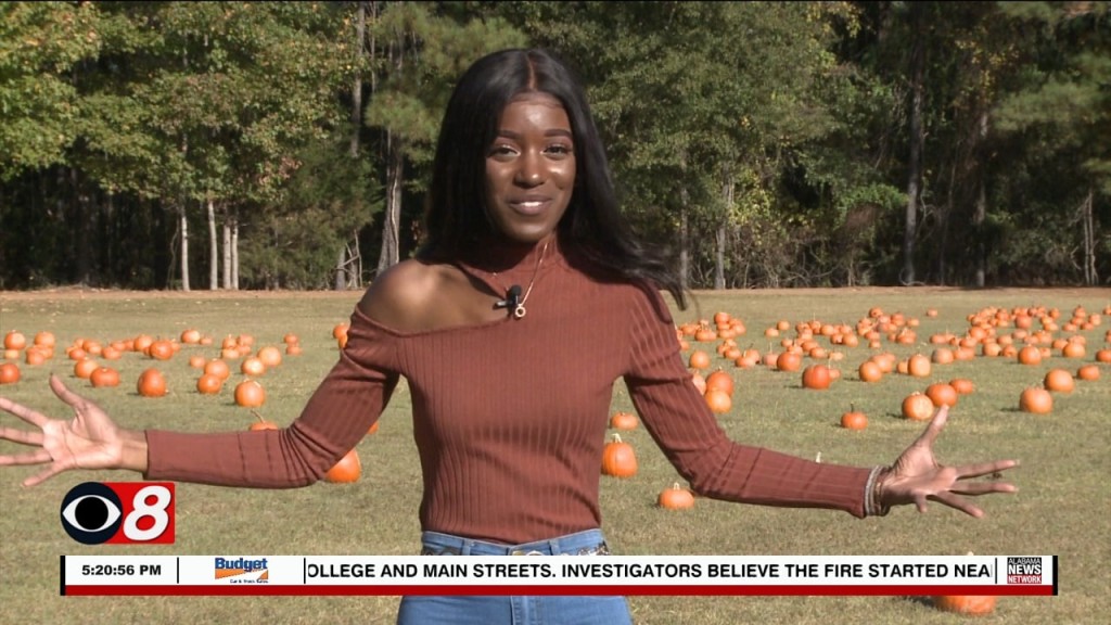 What's Happening 102022