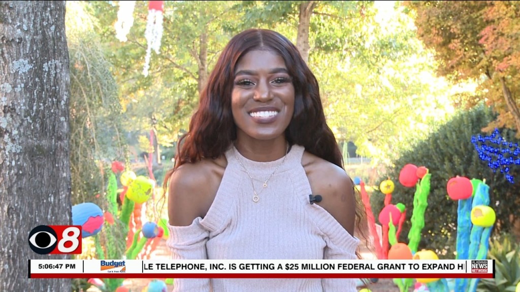 What's Happening 102722