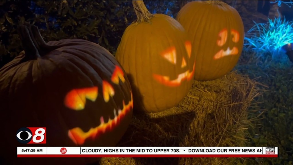 Wtt Decorate Digital 102122