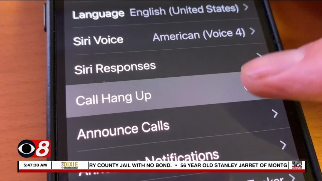 Wtt Siri Phone 102022