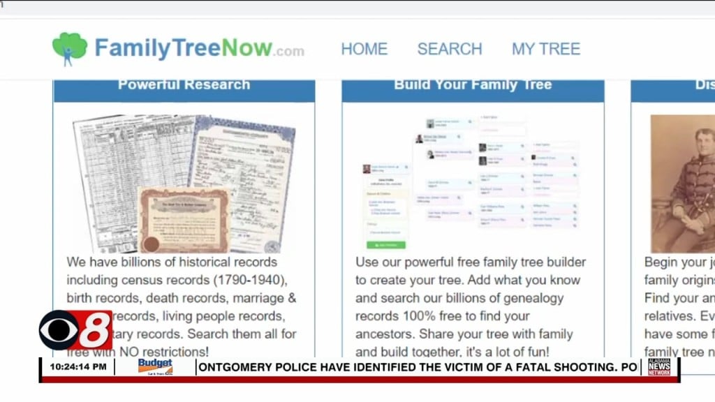 Wtt Family Tree Now 110122