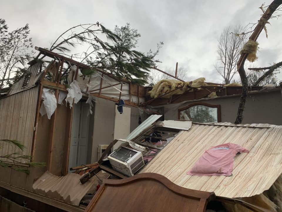 323786101 726187135699751 1908334139054373693 N