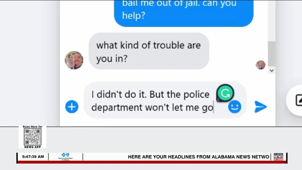 Wtt Clone Scams 020223