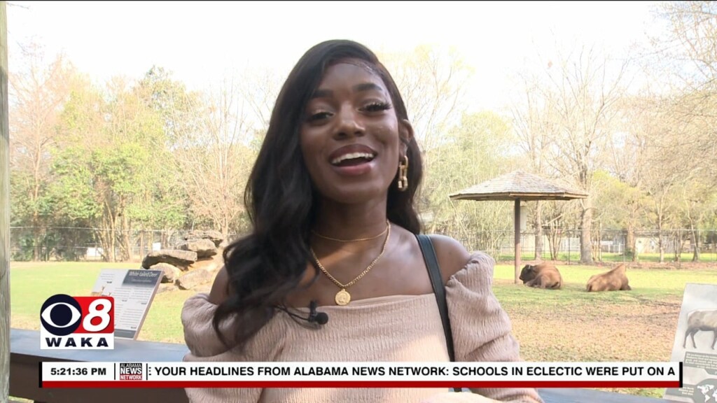 Whats Happening 022323