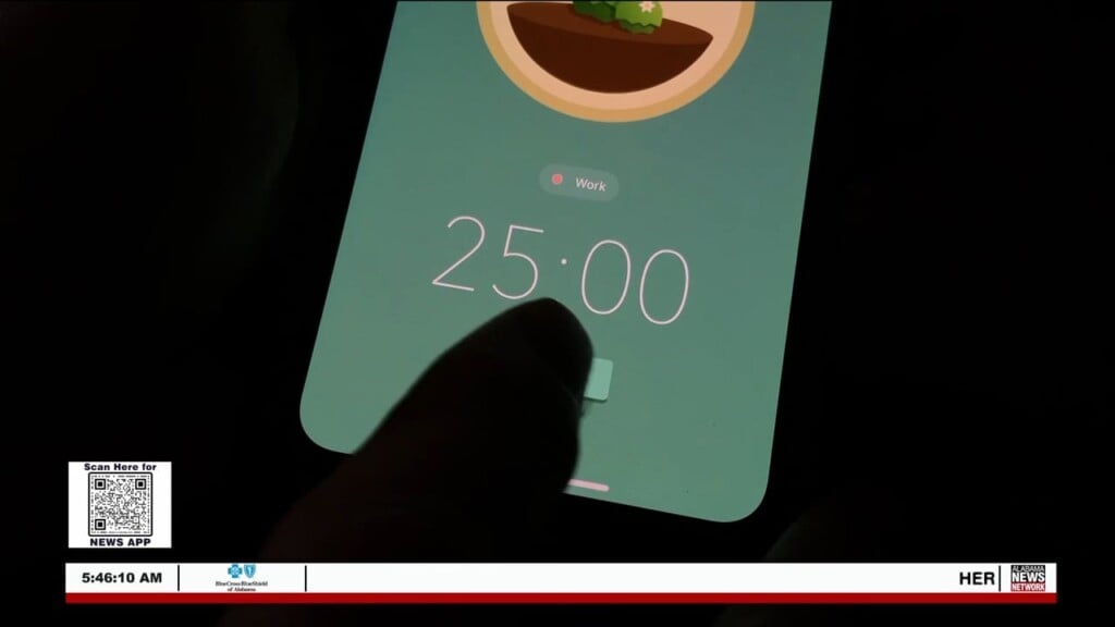 Wtt App Of The Day Forest 030623