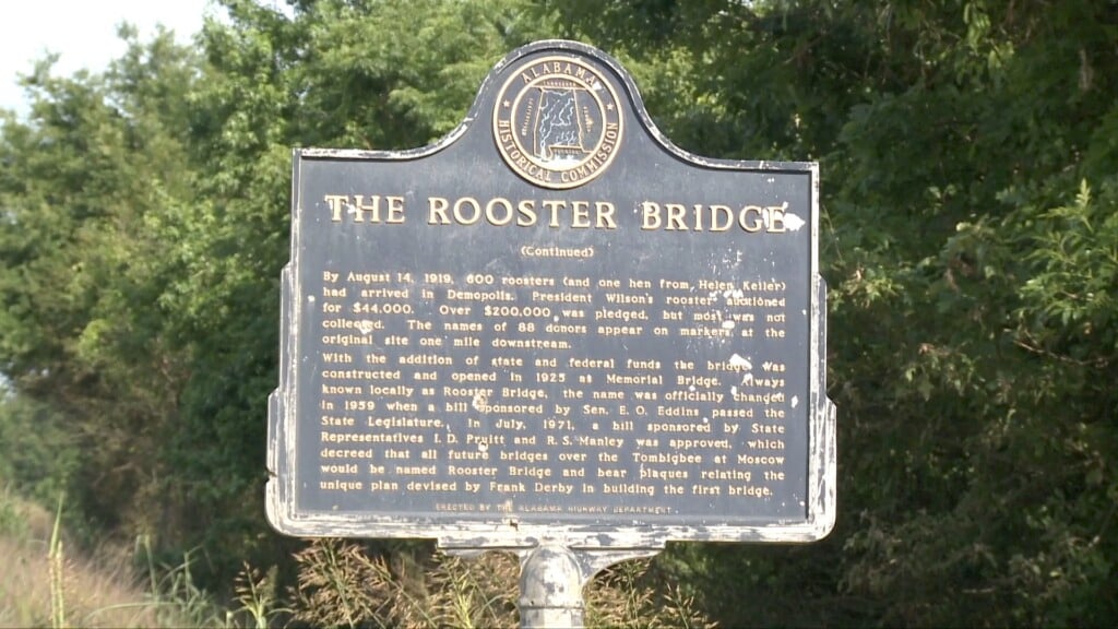 Wal Roosterday2023 Pkg