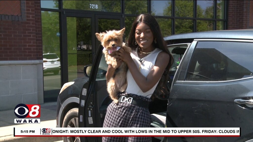 Whats Happening 042023