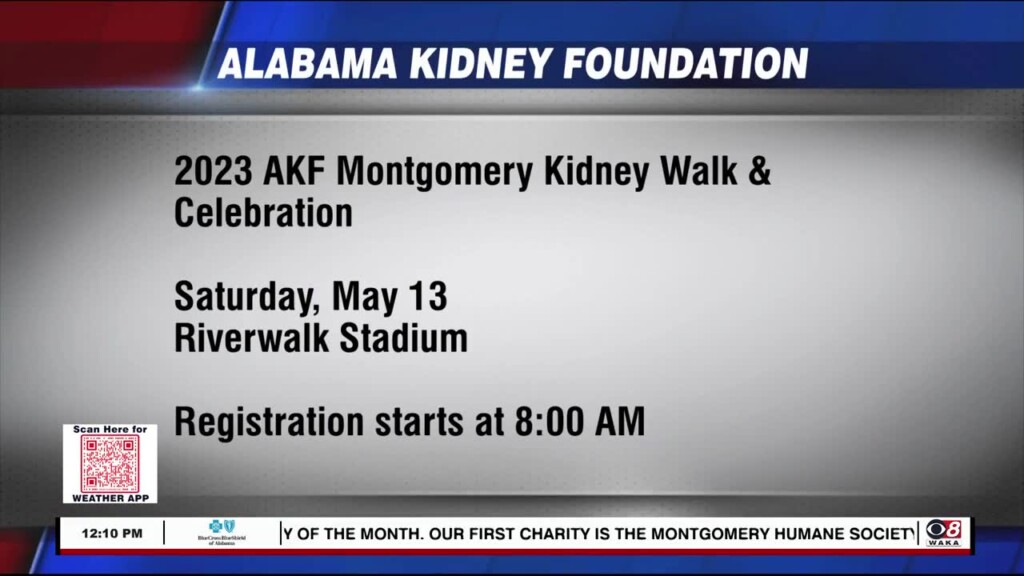 Akf Kidney Walk 0508
