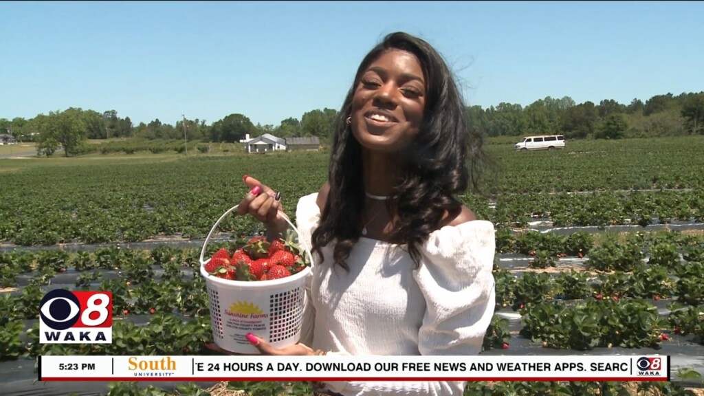 Whats Happening 050423