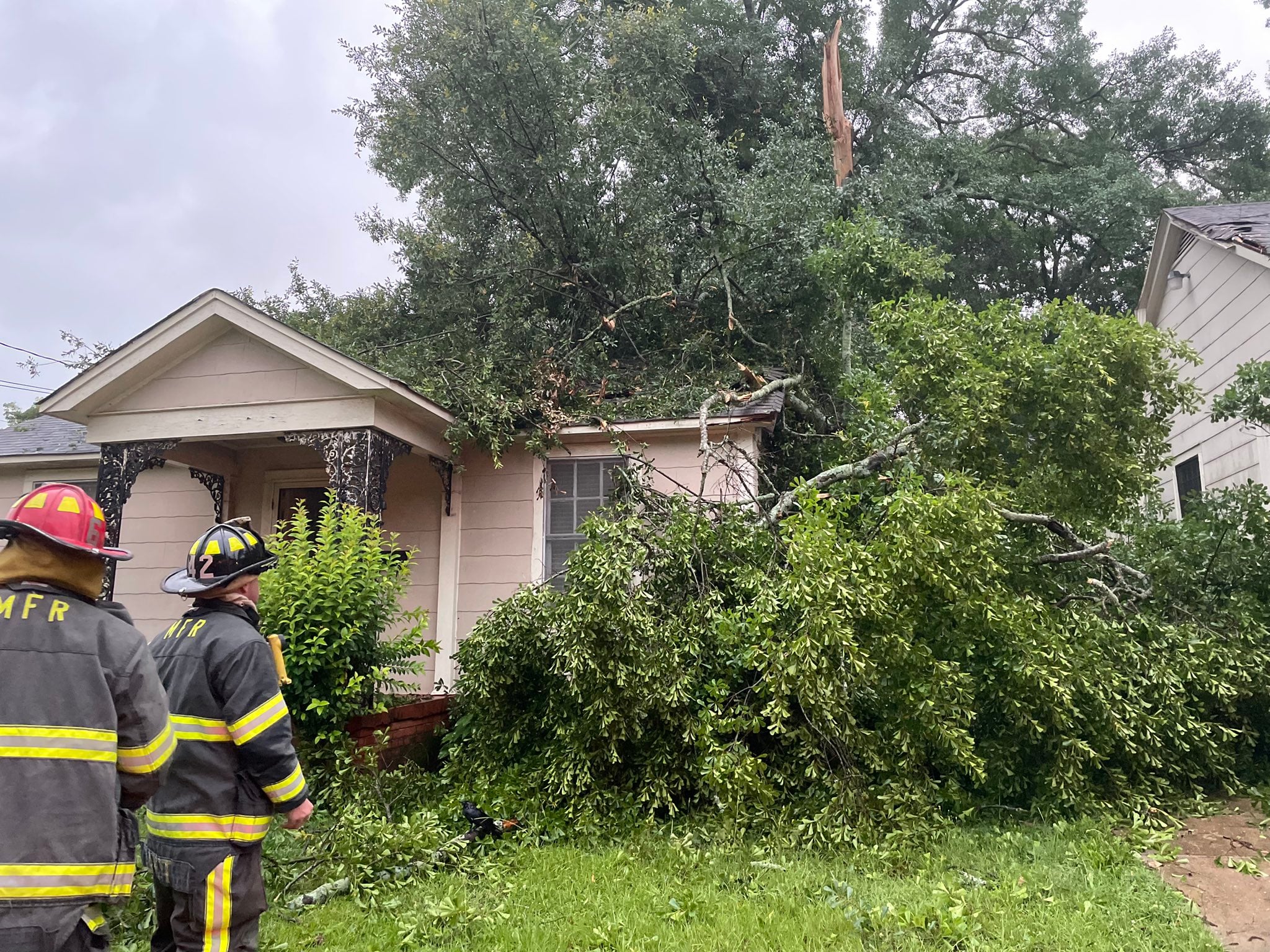 PHOTOS: Storm damage in Montgomery - WAKA 8