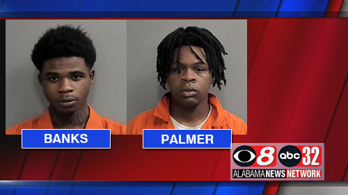 Banksdacareopalmerroddell062223