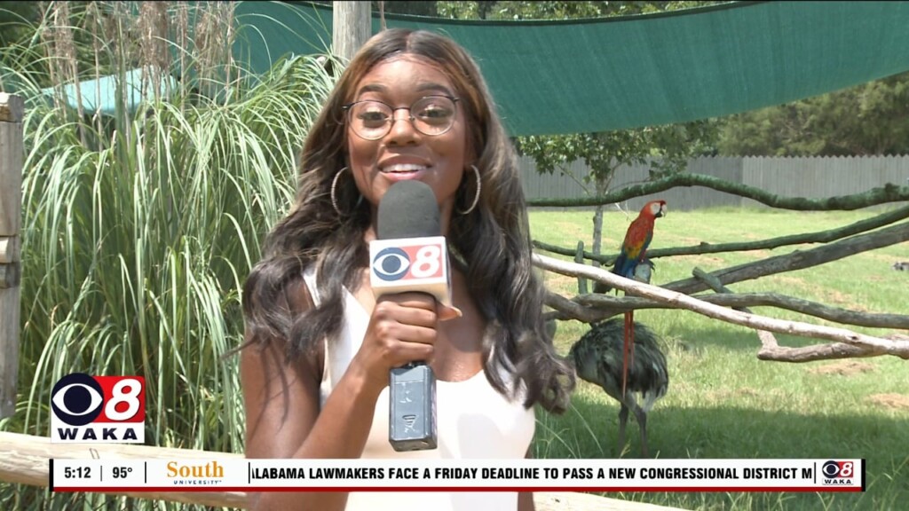 Whats Happening 072023