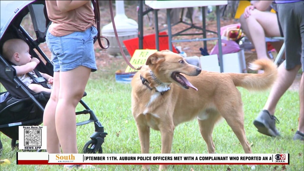 Humane Society Of Elmore County's Bark In The Park