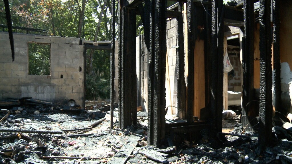 Wal Selmafire0901 Fox Pkg