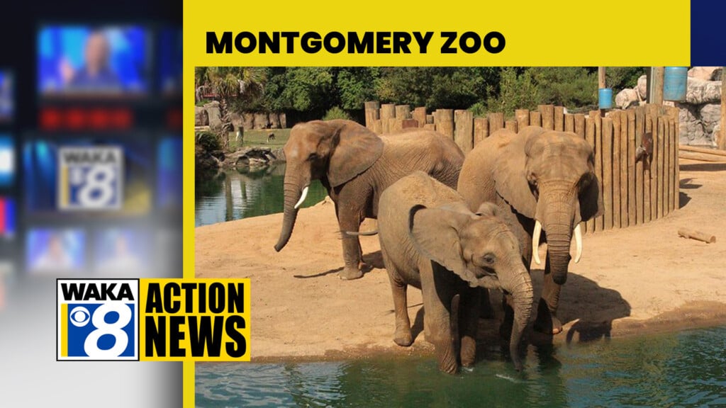 23montgomeryzoo