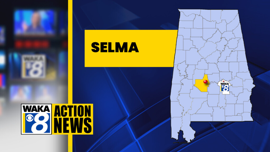 23selma