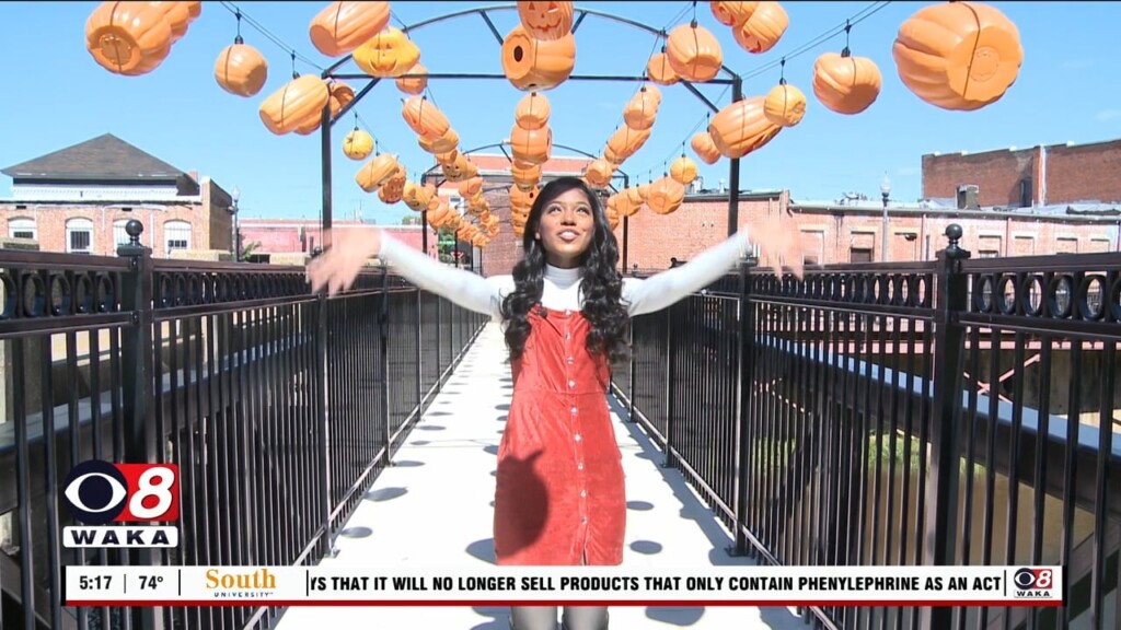 Whats Happening 101923