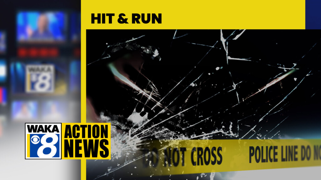 23hitandrunwreck
