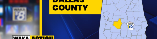 23dallascounty