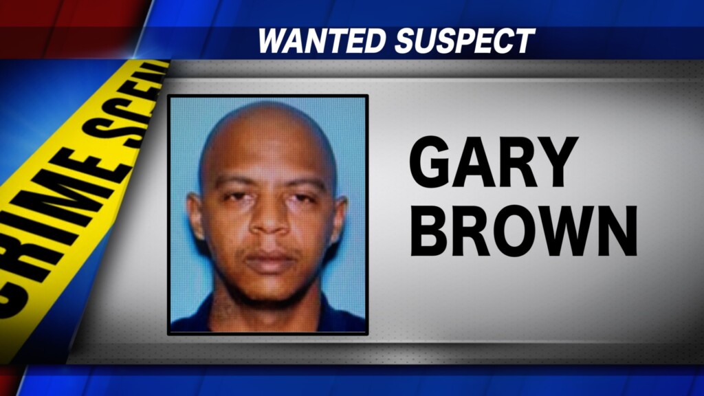 Wal Wantedinpinehill Vo