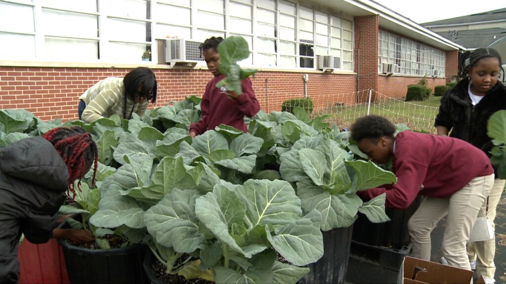 Wal Mcfood2table Fox Pkg1