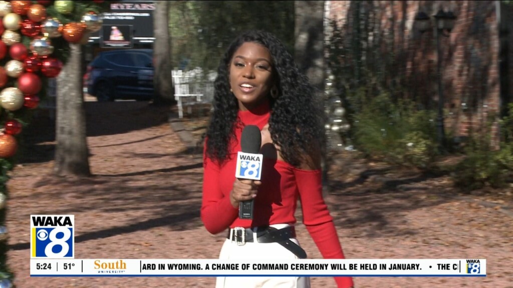 Whats Happening 113023