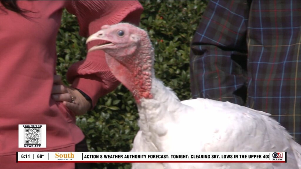 Turkey Pardoning 110623
