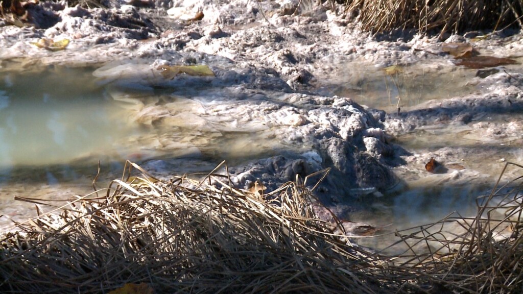 Wal Dcsewer1218 Fox Pkg