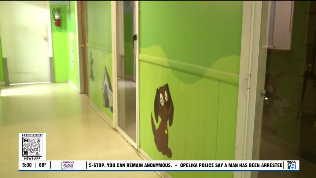 Greenville Animal Shelter