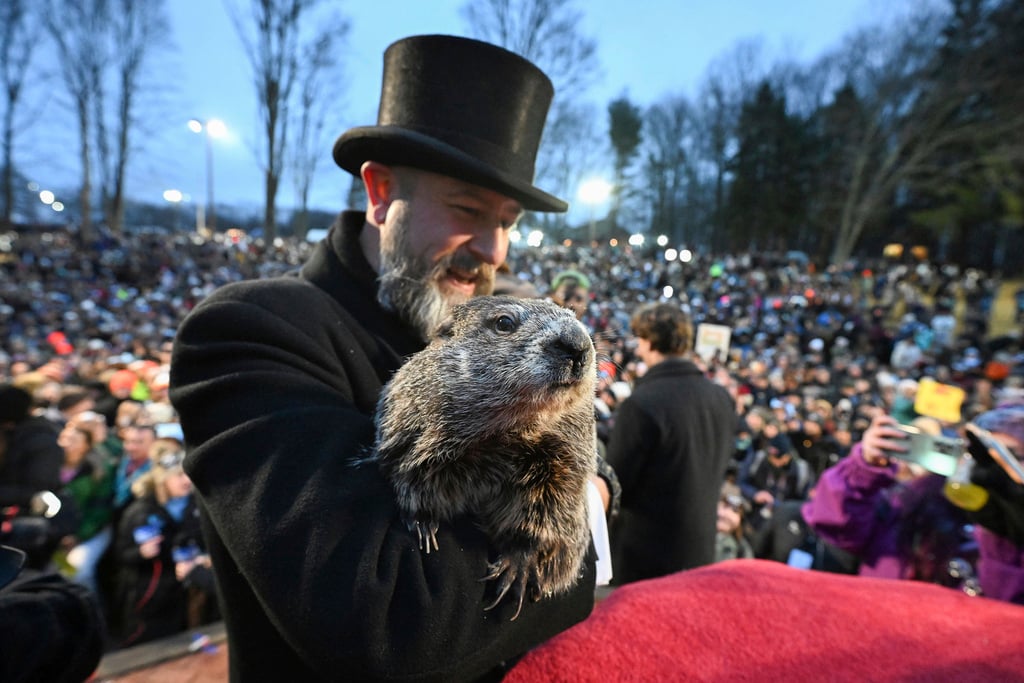 Aptopix Groundhog Day
