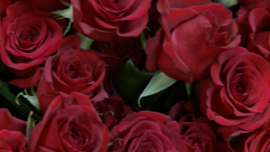 Wal Valentinepreview0209 Fox Pkg