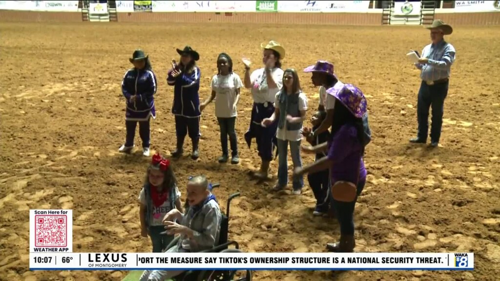 Sle Miracle Rodeo