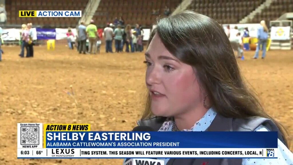 Sle Rodeo Starts