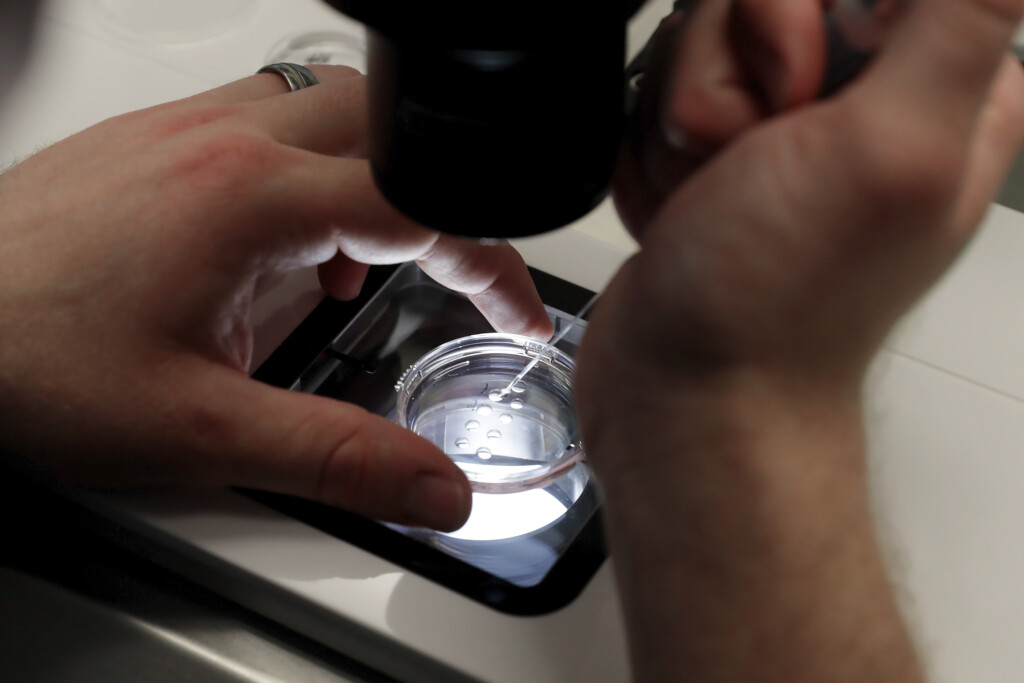 Alabama Ivf Affected Groups