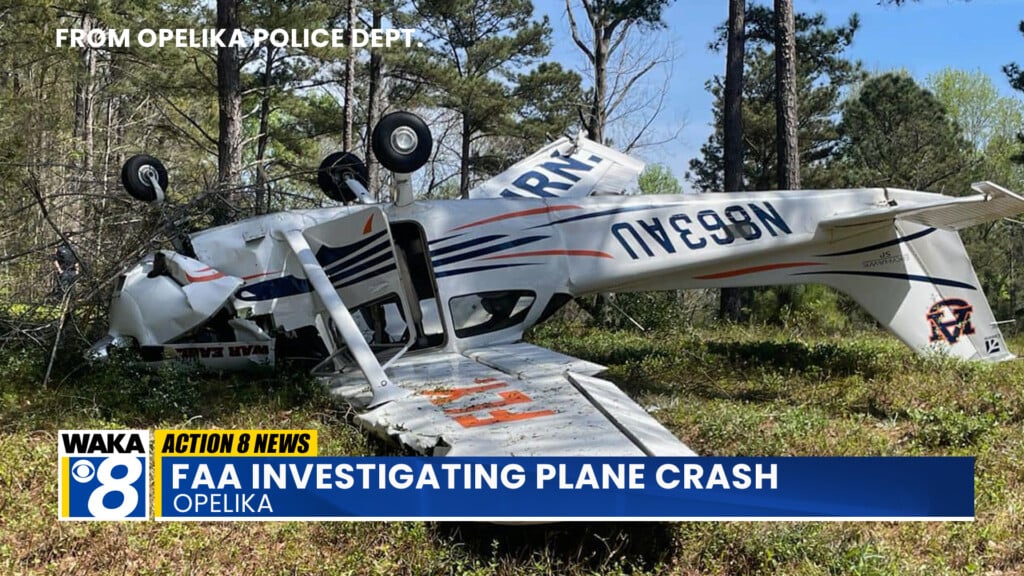 Opelikaplanecrash032424