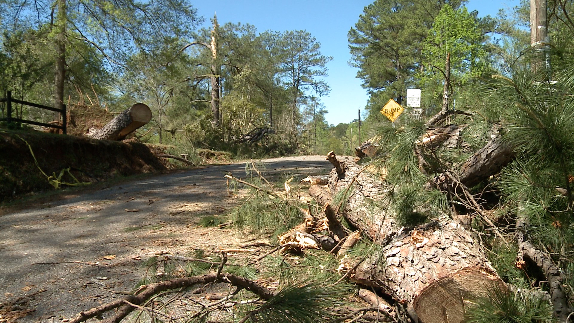 Storms down trees and knock out power in Plantersville - WAKA 8