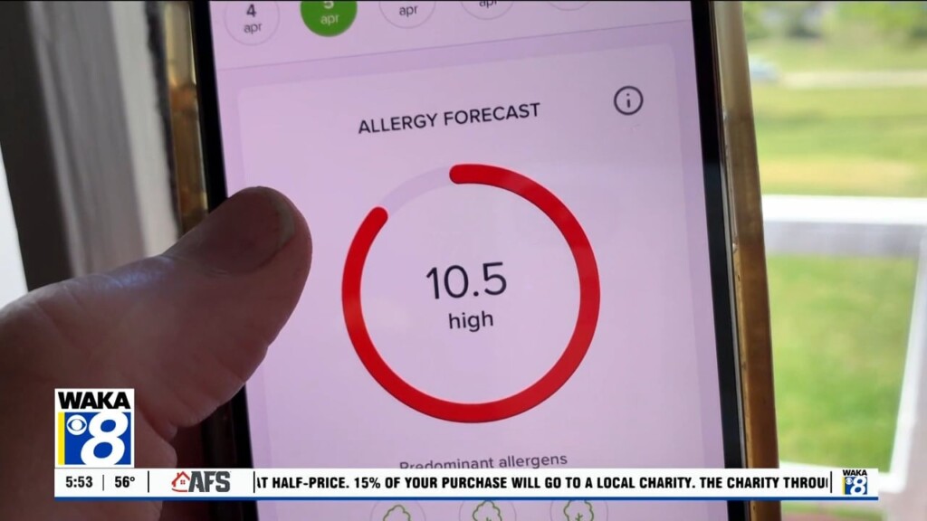 Wtt App Of The Day Allergy Plus 040824